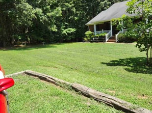 Stephen D.'s lawn service service result