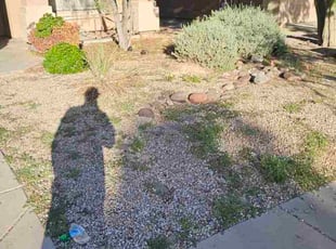 Khalidah H.'s lawn service service result