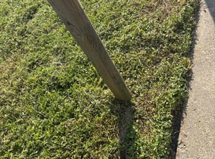 Amber D.'s Long Grass Cleanup service result