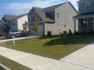 Tamara H.'s grass maintenance service result