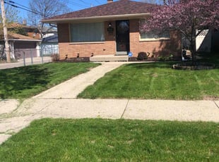 Margie s.'s turf care service result