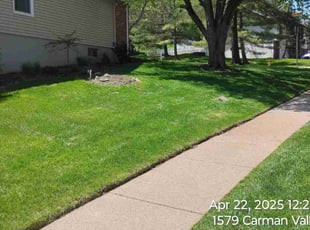 Ari P.'s grass cutting service result