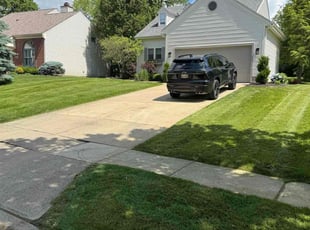 David A.'s lawn care service result