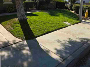 Ari S.'s turf maintenance service result