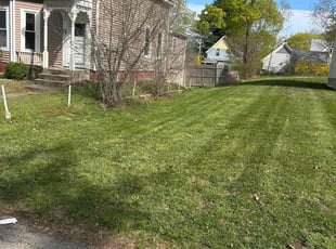 Hyacienth O.'s turf maintenance service result