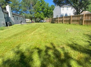 Andrea M.'s grass maintenance service result