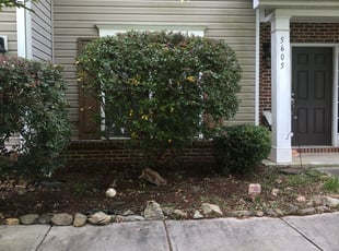 Bill F.'s Bush Trimming service result