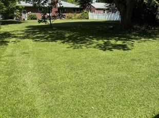 Tanya M.'s lawn care services service result