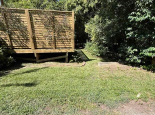 Paul D.'s lawn service service result