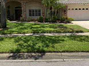 Kim B.'s lawn care service result
