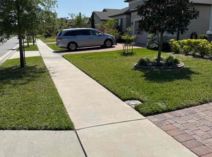 Katie G.'s grass cutting service result