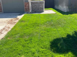 Claudia G.'s lawn service service result