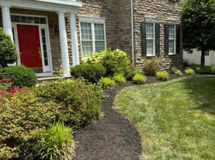 Calvin W.'s Mulching service result