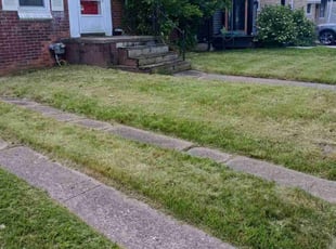Cindy R.'s Long Grass Cleanup service result