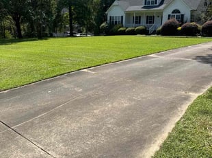Shuvar E.'s lawn care service result