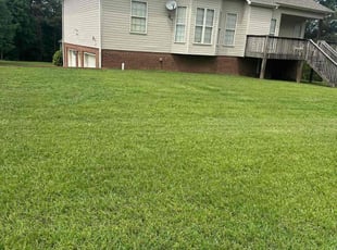 Tanya M.'s grass cutting service result