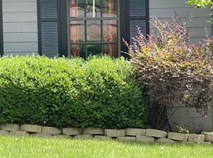 Ariel G.'s Pressure Washing service result