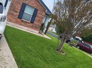 Charles M.'s grass maintenance service result