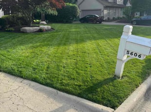 Forrest F.'s grass maintenance service result