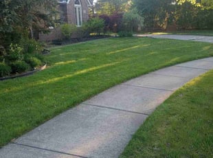 Dawn C.'s lawn maintenance service result