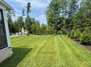 Tracey B.'s lawn care services service result