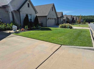 Danielle A.'s lawn care services service result