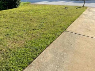 Kim W.'s lawn care service result