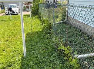 Robinette P.'s Bush Trimming service result