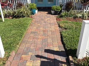 Paul K.'s turf maintenance service result