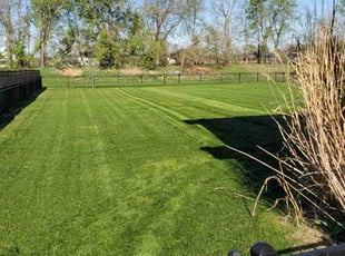 Sue J.'s grass maintenance service result