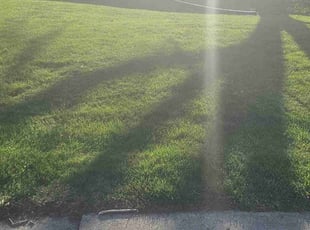 Austin C.'s lawn service service result