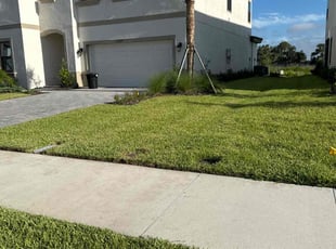 Henry R.'s turf care service result