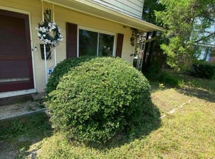 Ether T.'s Bush Trimming service result