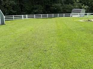 Thaddeus T.'s lawn care service result