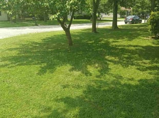 James524369000097 W.'s lawn care service result