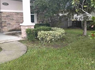 Nanette L.'s lawn maintenance service result