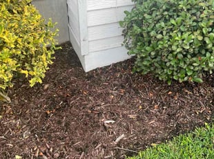 Steven B.'s Flower Bed Weeding service result
