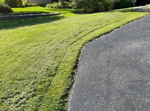 Vicky T.'s turf care service result