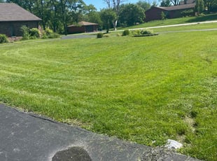 Glendor M.'s lawn care service result