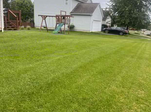 Juanita F.'s turf maintenance service result