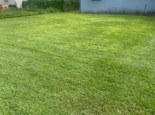 Jammel M.'s lawn service service result