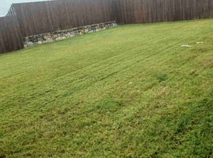 Pamela B.'s lawn maintenance service result