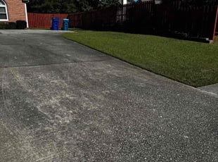 Matt B.'s lawn maintenance service result