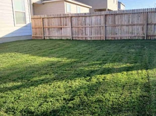 Maggie J.'s grass cutting service result