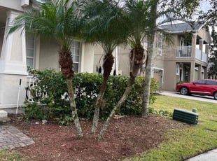 Brianna M.'s Flower Bed Weeding service result