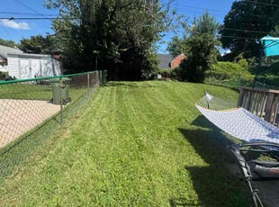 Arnold K.'s grass maintenance service result