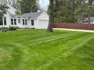 Samantha W.'s turf care service result