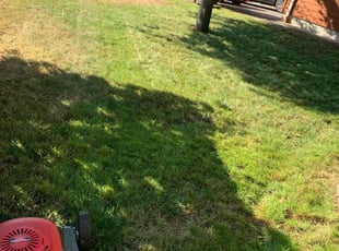 Brian Q.'s grass cutting service result