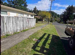 Ronni D.'s grass maintenance service result