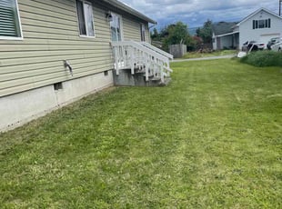 Terry R.'s lawn care service result